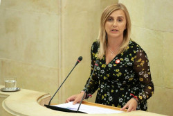 El PSOE defender&aacute;  en el Parlamento la retirada inmediata de las concertinas del Puerto