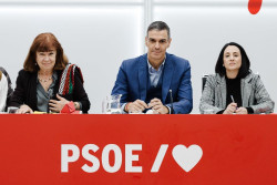 El PSOE dice que enviar&aacute; a la AN todos los pagos que pueden ser la doble contabilidad del Psoe