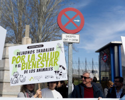 El Senado suprime el pacto de PSOE y ERC para flexibilizar la dispensaci&oacute;n de antibi&oacute;ticos por los veterinarios