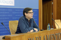 El TC rechaza el recurso de un exdiputado del PSOE-A por la convocatoria de la Diputaci&oacute;n Permanente en estado de alarma
