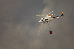 El trabajo de los equipos de extinci&oacute;n en Tenerife evita el fuego queme viviendas: "Es casi un milagro"