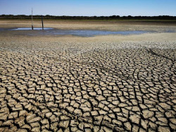 El verano de 2022 fue el m&aacute;s caluroso en Espa&ntilde;a de los &uacute;ltimos 700 a&ntilde;os y el m&aacute;s seco en casi 300, seg&uacute;n cient&iacute;ficos