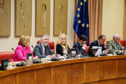ERC, Junts y PNV rechazan la Agencia de Protecci&oacute;n Civil prometida por S&aacute;nchez ser "una recentralizaci&oacute;n encubierta"