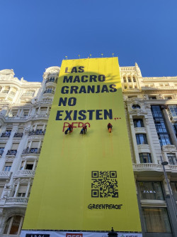 Escaladores de Greenpeace exigen en Gran V&iacute;a (Madrid) a Pedro S&aacute;nchez el cierre de macrogranjas que "no" existen