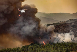 Espa&ntilde;a lidera las hect&aacute;reas quemadas en Europa, el fuego arrasa 60.518 hect&aacute;reas en una semana, hasta las 229.256 este 2022,