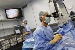 España logra 48 trasplantes de órganos en 24 horas, lo que supone un nuevo récord, según la ONT