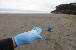 Euskadi activa el plan especial de Emergencia por contaminaci&oacute;n en ribera del mar ante la previsible llegada de pellets