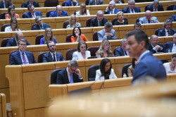 Feij&oacute;o acusa a S&aacute;nchez de "pucherazo" en las urnas en el PSOE y S&aacute;nchez le llama calamitoso y pat&eacute;tico.
