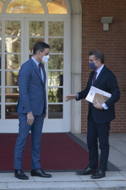 Feij&oacute;o buscar&aacute; el martes en el Senado contraponer su modelo econ&oacute;mico con el de S&aacute;nchez en su primer duelo parlamentario