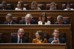 Feij&oacute;o pide a sus diputados salir a la calle para mostrar la "alternativa" del PP frente a un Gobierno "d&eacute;bil"
