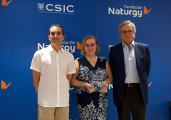 Fundaci&oacute;n Naturgy y CSIC lanzan la nueva edici&oacute;n del premio al mejor proyecto de innovaci&oacute;n energ&eacute;tica