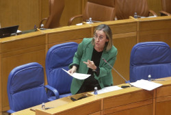 Galicia reclama que Transportes la incluya en las compensaciones por los retrasos en los trenes mal dise&ntilde;ados