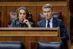 `G&eacute;nova` considera que su `no` al decreto &oacute;mnibus no pasar&aacute; factura al PP y exige que se legisle de "manera ordenada"