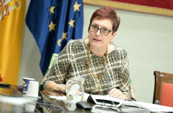 Gobierno canario dice que el decreto de menores migrantes "viene bien" a todas las CCAA y exige su cumplimiento