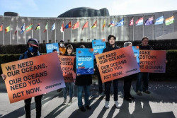 Greenpeace denuncia la falta de acuerdo y la "lentitud pasmosa" en la ONU para un Tratado Global de los Oc&eacute;anos