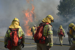 Hasta 19 incendios activos requieren la ayuda de  dos aviones italianos