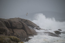 `Herminia` pone hoy en aviso a casi toda Espa&ntilde;a, con nivel rojo en el norte peninsular por temporal mar&iacute;timo