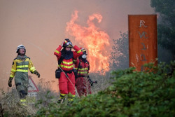 Ingenieros de Montes piden gestionar el territorio para "modular" incendios contra los que no se puede luchar