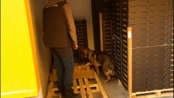 Intervenidos 30 kilos de coca&iacute;na ocultos en cajas de fruta de physalis y detenidas siete personas