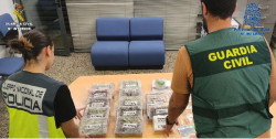 Intervienen 22 toneladas de marihuana envasada almacenadas en una nave en Quatretonda