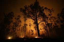 La Armada tambi&eacute;n se moviliza para luchar contra los incendios