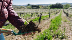 La Euroc&aacute;mara adopta nuevas medidas para proteger a los agricultores frente a pr&aacute;cticas comerciales desleales