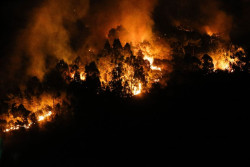 La Fiscal&iacute;a investiga si los municipios m&aacute;s afectados por los incendios cuentan con planes de prevenci&oacute;n