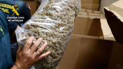 La Guardia Civil incauta 32 toneladas de cogollo de marihuana envasada 