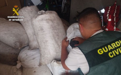 La Guardia Civil recupera cerca de una tonelada de aceituna sustra&iacute;da en Mota del Cuervo