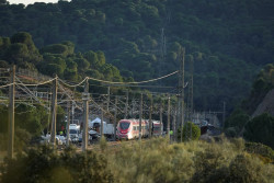 La `hora de oro`, determinante en la supervivencia en accidentes ferroviarios como el de Adamuz, seg&uacute;n una experta