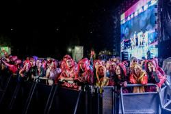 La IA generativa en la m&uacute;sica gener&oacute; 275 millones de euros en la segunda mitad de 2023, seg&uacute;n Goldmedia