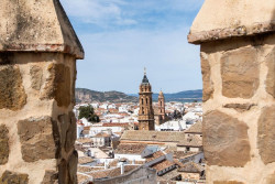 La Junta entrega planes municipales a 756 ayuntamientos para "su adaptaci&oacute;n" al cambio clim&aacute;tico