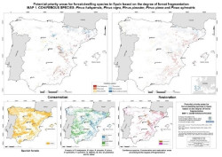 La mitad occidental, medio este y norte de Espa&ntilde;a &aacute;reas potenciales para la restauraci&oacute;n forestal