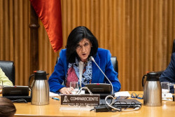 La `n&uacute;mero dos` de Robles en Defensa, Esperanza Casteleiro, nueva directora del CNI