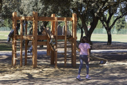 La poblaci&oacute;n infantil en Espa&ntilde;a se reduce a la mitad en los &uacute;ltimos 60 a&ntilde;os, y se nutre de inmigraci&oacute;n, seg&uacute;n un an&aacute;lisis de Funcas
