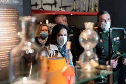 La presunta ministra de defensa,Robles, no  enviar&aacute; armamento letal a los ucranianos para no enfadar a Putin, solo pistolas 