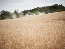 La primera semana de julio trae tormentas y chubascos hasta el mi&eacute;rcoles y calor "muy intenso" despu&eacute;s