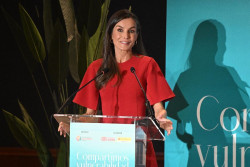 La reina Letizia se&ntilde;ala la importancia de la lectura para "aprender" a verbalizar los problemas de salud mental