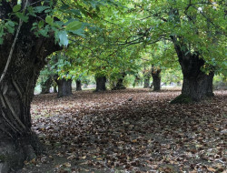 La semana terminar&aacute;  con cielos soleados y temperaturas de pleno verano m&aacute;s que de mitad de octubre