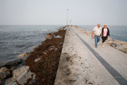 La temperatura subir&aacute; este martes hasta 6 &ordm;C en litorales cant&aacute;bricos