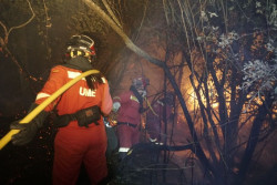 La UME despliega m&aacute;s de 1600 militares y 700 medios desde el inicio de la campa&ntilde;a de incendios