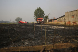 La UME tiene 1.300 militares ayudando en la extinci&oacute;n de 12 incendios por toda Espa&ntilde;a y son insuficientes