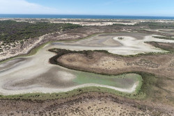 La UNESCO advierte de que Do&ntilde;ana podr&iacute;a dejar de ser Patrimonio de la Humanidad con la Ley de Regad&iacute;os de Andaluc&iacute;a
