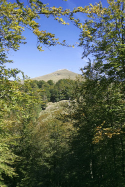 La UNESCO reconoce a Irati (Navarra) y Val d`Aran (L&eacute;rida) como reservas de la biosfera
