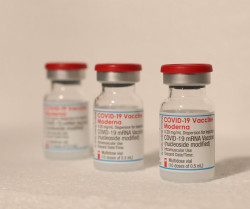  La vacuna de Moderna es m&aacute;s efectiva que Pfizer para prevenir contagios y hospitalizaciones, seg&uacute;n estudio