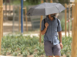 Las m&aacute;ximas subir&aacute;n hoy y llegar&aacute;n a los 37&ordm;C en puntos del sur peninsular en un d&iacute;a con lluvias aisladas en monta&ntilde;as
