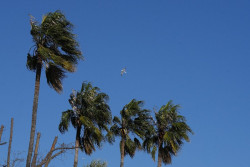 Las temperaturas subir&aacute;n este lunes aunque seguir&aacute;n activos avisos por viento en la zona mediterr&aacute;nea