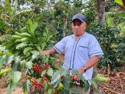 Los 27 adoptan la limitaci&oacute;n de importaciones de productos como caf&eacute;, madera o soja si contribuyen a la deforestaci&oacute;n