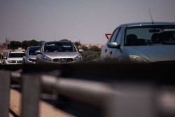 Los accidentes contra animales se duplican en Espa&ntilde;a en 5 a&ntilde;os por el abandono del medio rural, seg&uacute;n un estudio