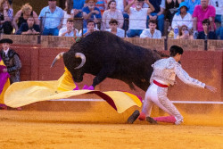 Los animalistas dicen que la tauromaquia es un pecado pero expertos en doctrina cat&oacute;lica dicen que no 